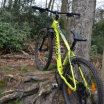 Mountainbike huren Kalmthoutse heide en bergen op zoom